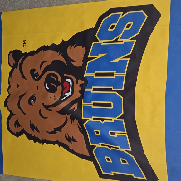 RARE VINTAGE UCLA BEAR LETTERS 28" X 40" VERTICAL HANG FLAG - Picture 4 of 5
